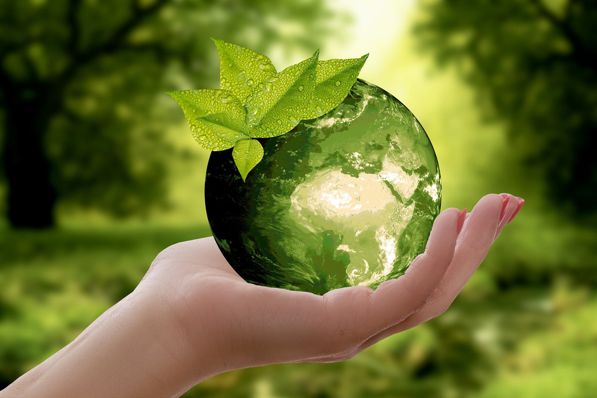 hand holding a green globe