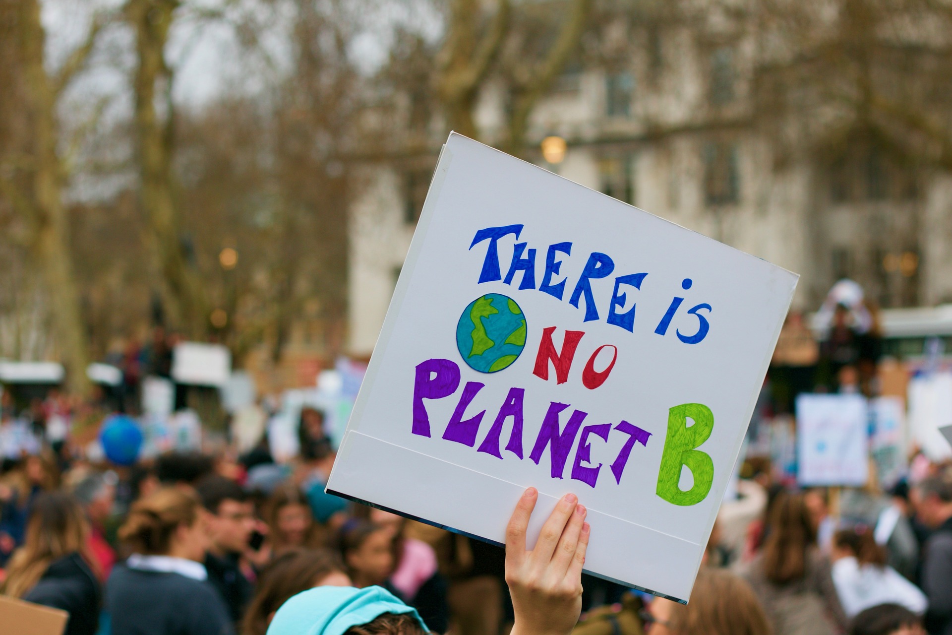 Protester at protest holding a sign reading "There is no planet B"