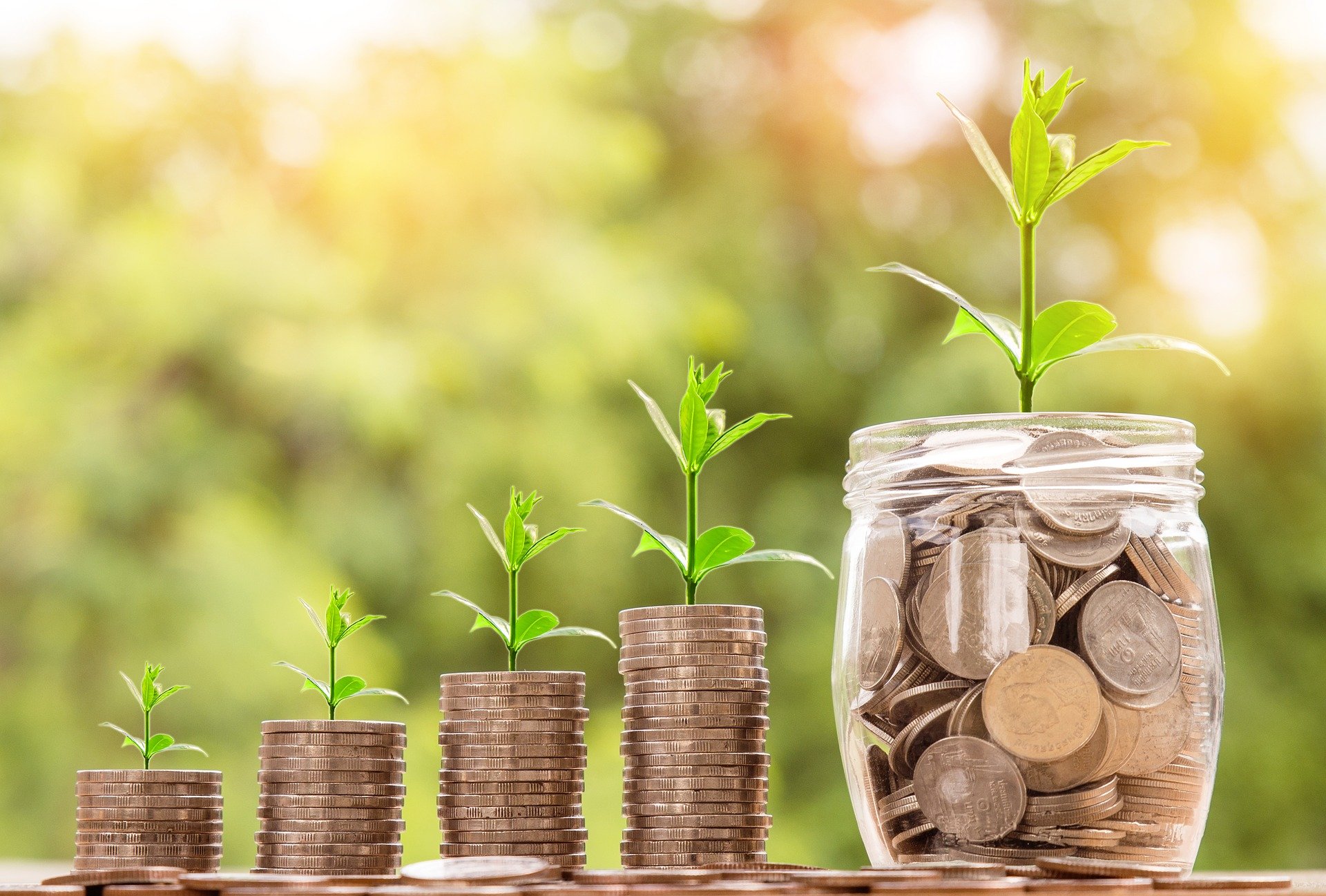 Piles of coins with green shoots growing out of them